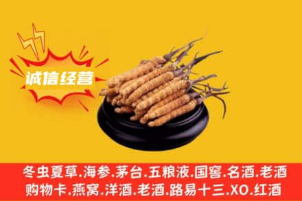 克孜勒苏回收冬虫夏草